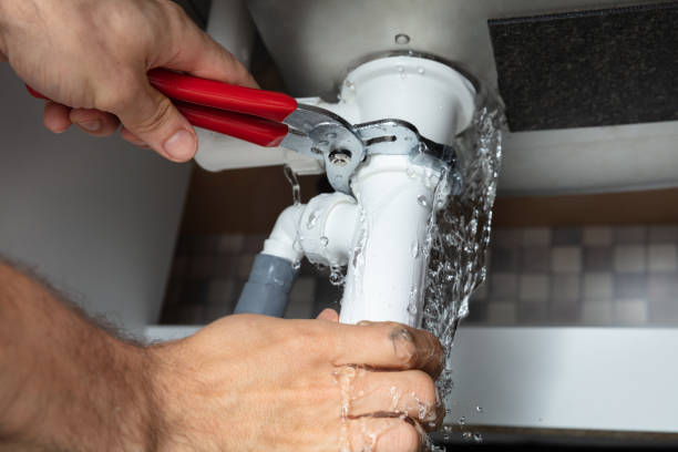 Best Water damage restoration near me  in Stewartville, MN