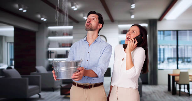 Best Water damage restoration near me  in Stewartville, MN